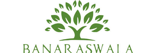 Banaraswala Logo remake png (2)